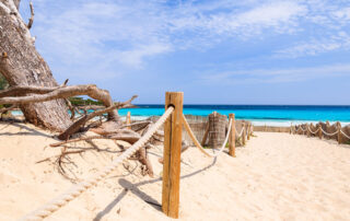 cala-agulla-acceso-arena